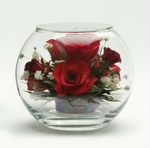 Natural_dried_flower_in_glass.jpg_220x22
