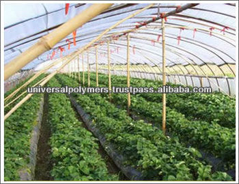 See larger image greenhouse plastic cover in india See larger image greenhouse plastic cover in india