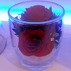 eternal flowers in omega rock glass buy decoration gift crafts