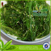 nori seaweed/seaweed chips