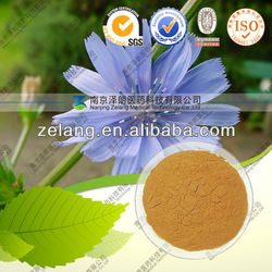 Best Chicory Extract Inulin, Top chicory root ext