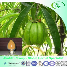 100% Natural Lose Weight Medicine Organic Garcinia Cambogia