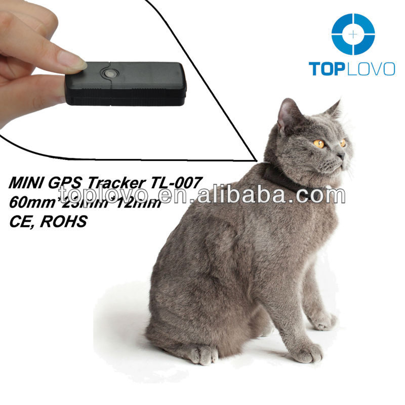Gps для кошек Gps для кошек
