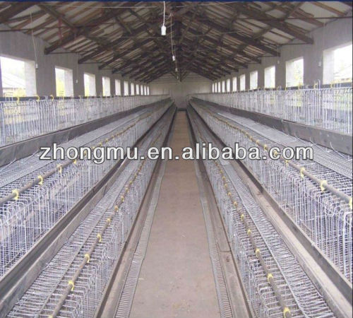  chicken cage > layer egg chicken cage/poultry farm house design for