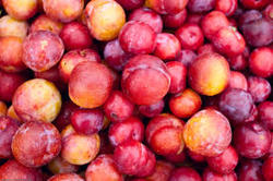 Red Plums, Recommended Red Plums 