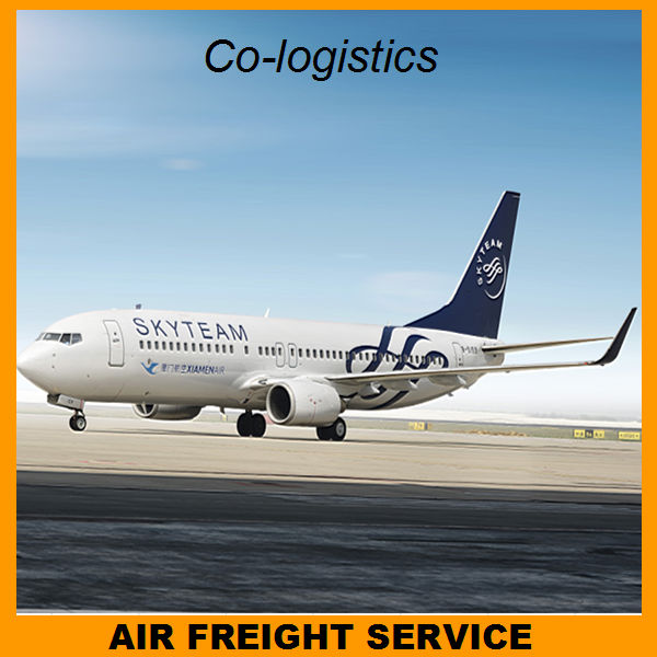 Download this Air Cargo Shipping Indonesia Grace Skype picture