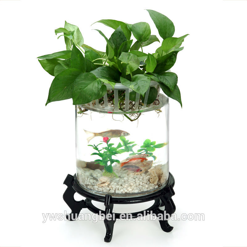 Beautiful Aquaponics Fish Tankaquarium Fish Tank - Buy ...