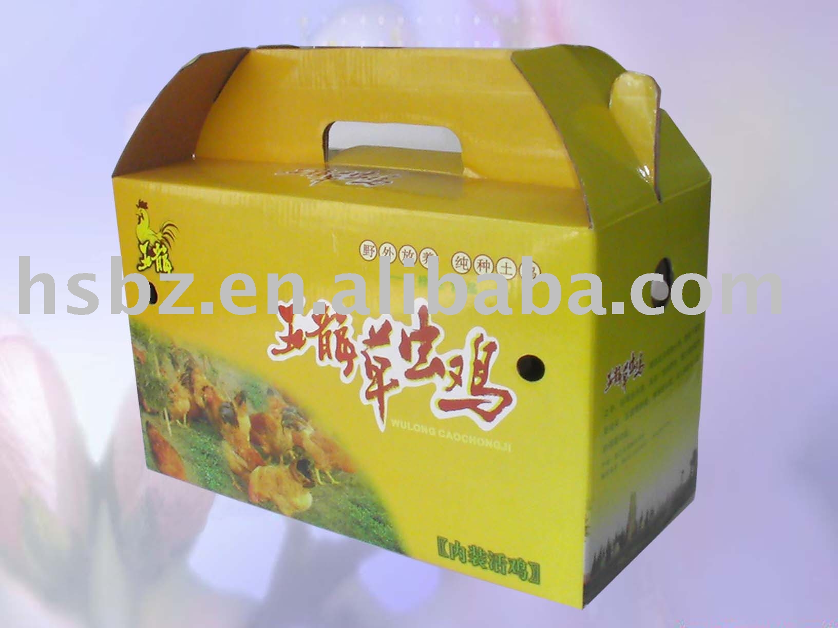 Packaging Box