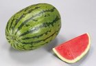 A-211 Sierra WATERMELON seed