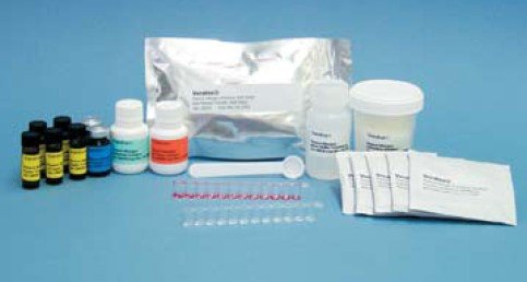 Allergens In Food Allergens In Food