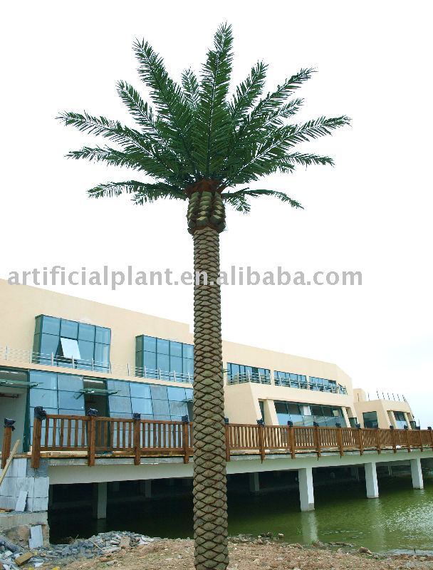 dates tree clipart. Tree clip art; palm dates