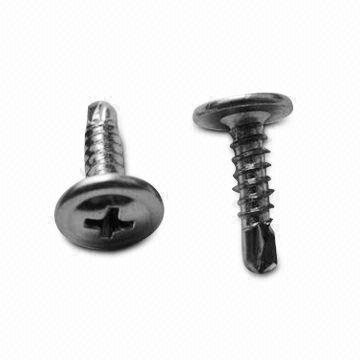 phillips screw head