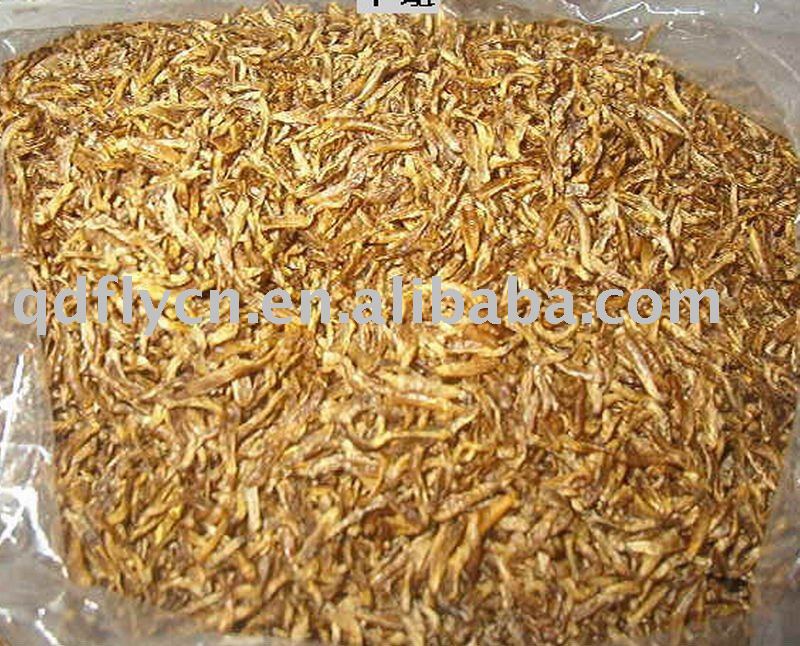 maggots in food. Dried maggot of Fish Food