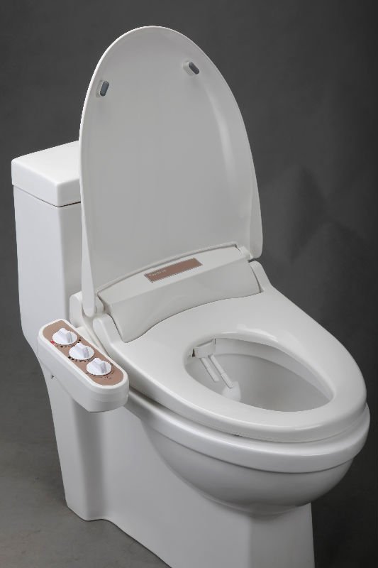 See larger image: bidet toilet