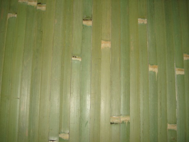 bamboo wallpaper. See larger image: amboo wallpaper. Add to My Favorites. Add to My Favorites