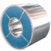 Prepainted galvanized steel sheets & coils