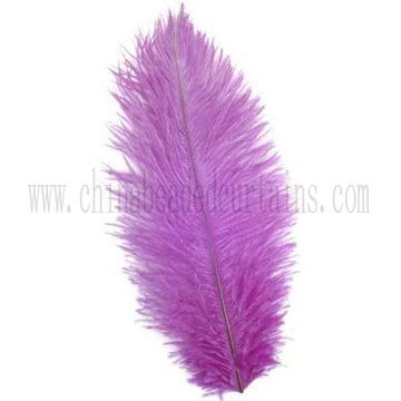 wedding feather feather