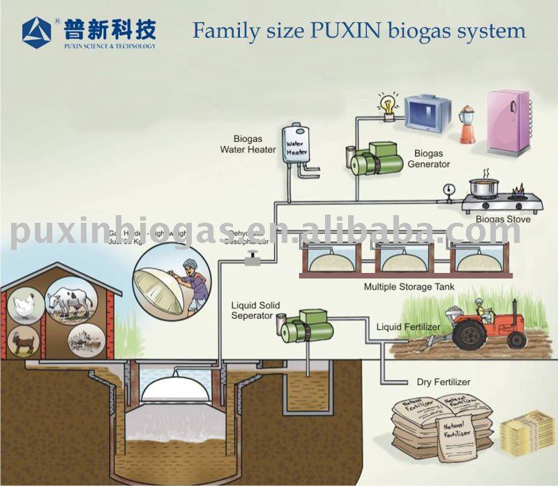 Biogas Model