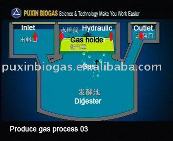 Homemade Biogas