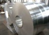 Perfact Galvanized Steel Strip