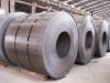 hot dipped galvanized steel sheet/coil