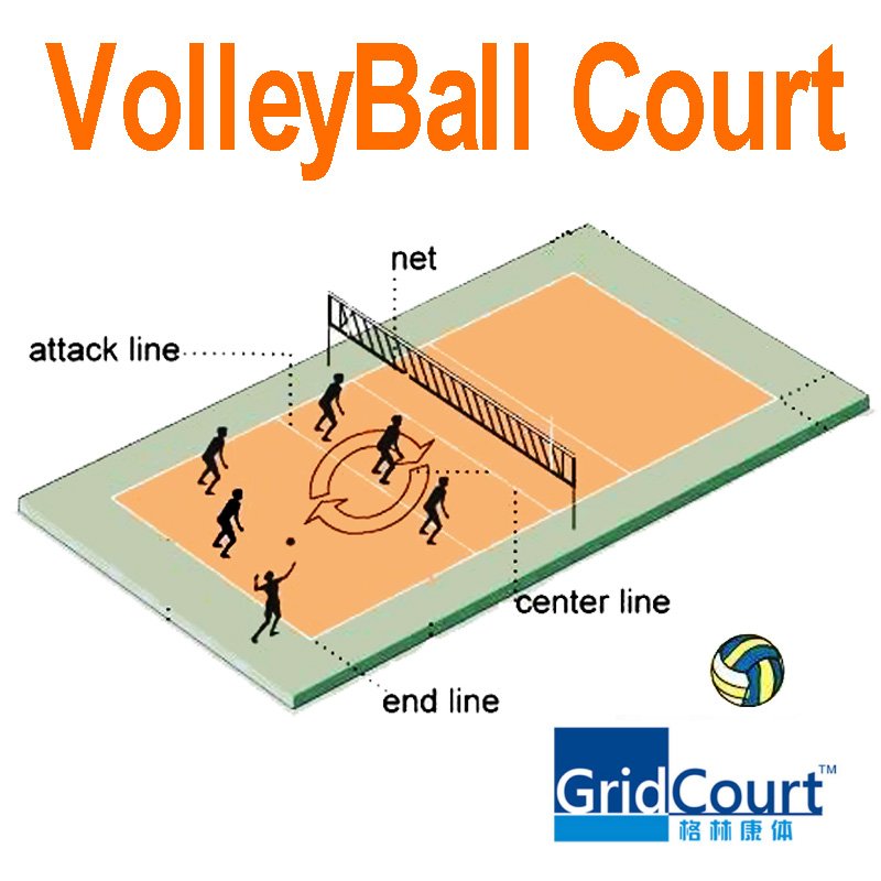 volleyball court floor. Indoor volleyball court