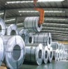 Galvanized steel Sheet in coil