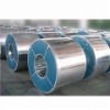 SPCC Tinplate Steel Coil