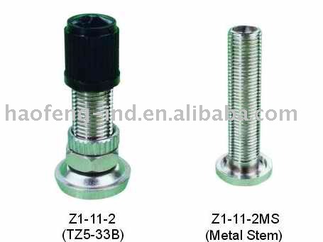 Bicycle Valve Stem