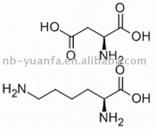 L Lysine