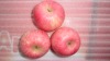 Fuji red apple