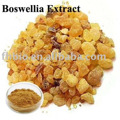 Boswellia Serrata Extract