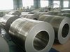 GI / Hot Dipped Galvanized Steel Coils