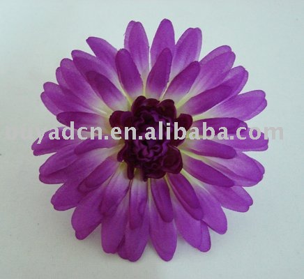 hair with purple. hair clips/Purple gerbera