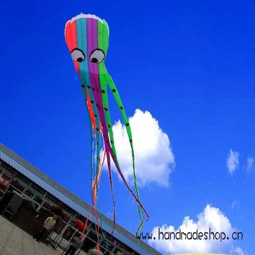 quotes on kites. soft kite / octopus kites