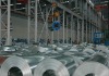 Galvanized steel coil Q235