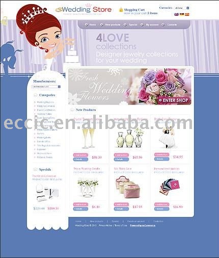 Professional Wedding Website Design