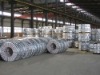 Hot Dipped GI Steel Coil