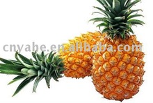 Cool Pineapple