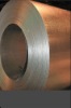 Hot Dipped Galvanized Steel Strips/HDGI