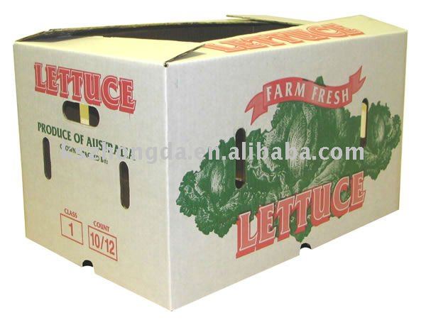 fruit carton box