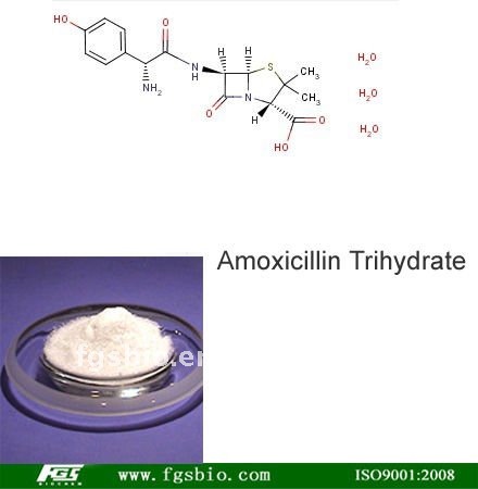 amoxicillin trihydrate amoxicillin trihydrate