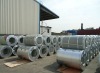 Color Coated Steel Coil / PPGI