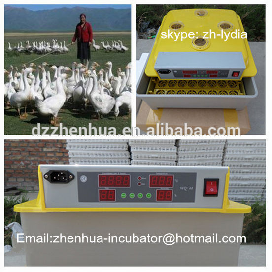  turkey,broiler Usage and New Condition egg incubator/48 eggs incubator