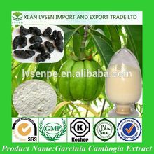 Garcinia Cambogia, Garcinia Cambogia Suppliers and Manufacturers