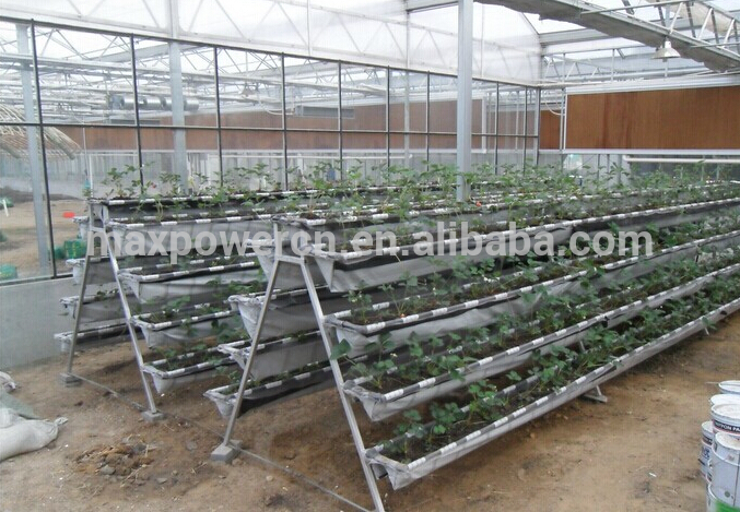 Hydroponics Fodder System - Buy Agricultural Greenhouse Hydroponics ...