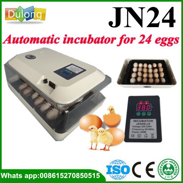 Turtle eggs incubator for sale JN24