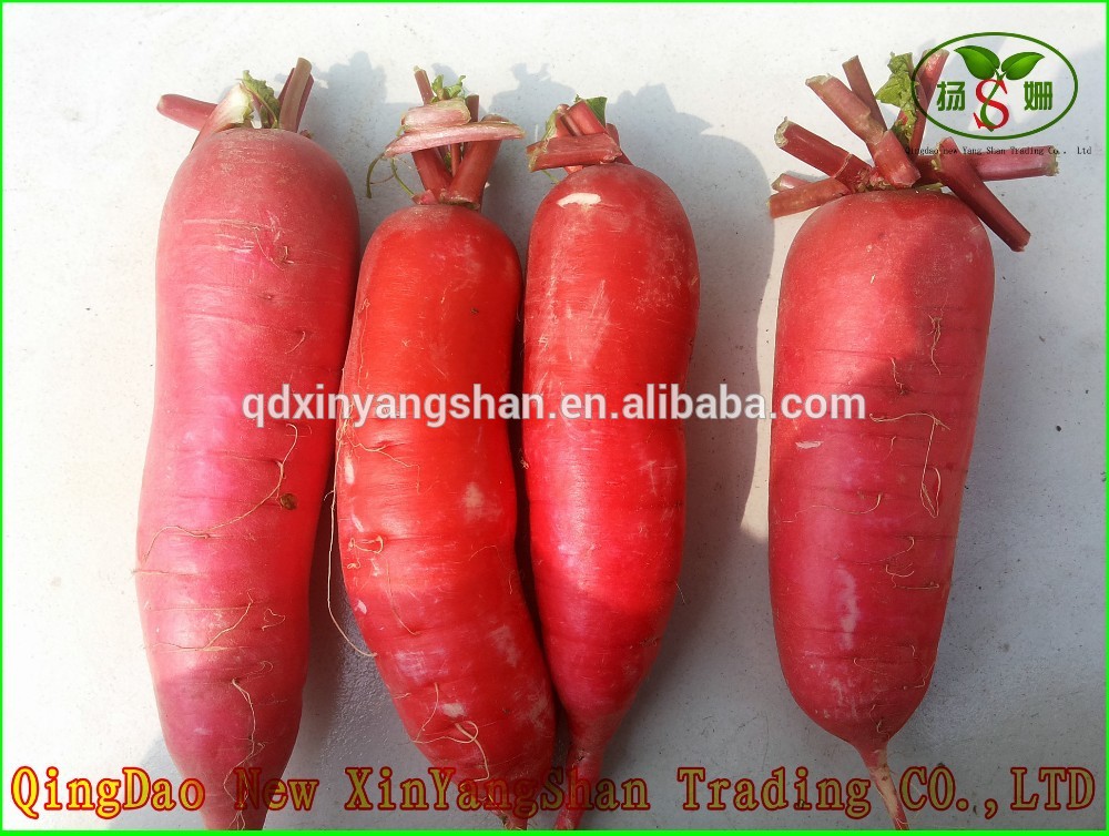 chinese yellow potato/sweet potato seed