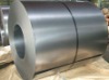 Steel Coil
