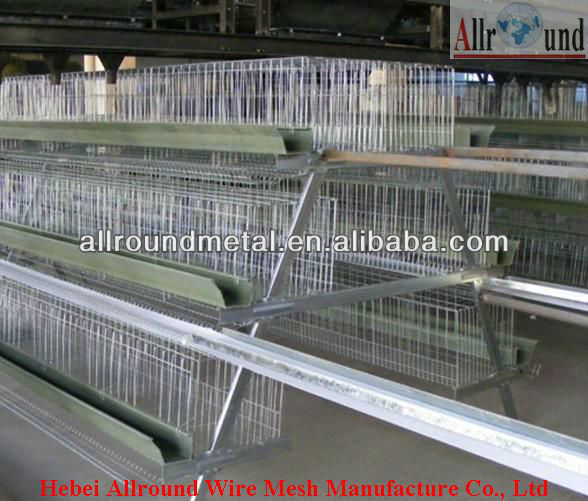 Chicken egg layer cages for poultry coop